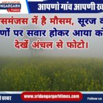 WhatsApp Image 2025-01-05 at 10.46.44