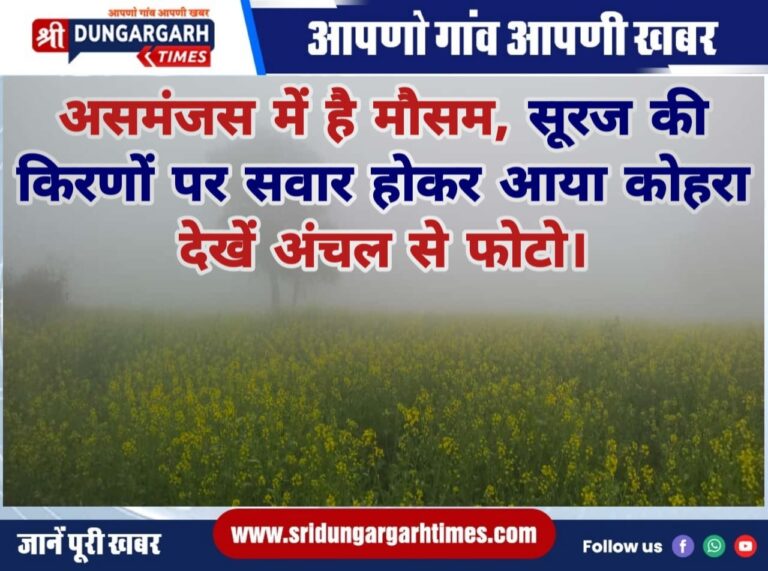 WhatsApp Image 2025-01-05 at 10.46.44
