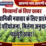 WhatsApp Image 2025-01-20 at 17.17.07
