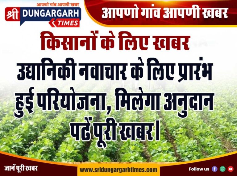 WhatsApp Image 2025-01-20 at 17.17.07