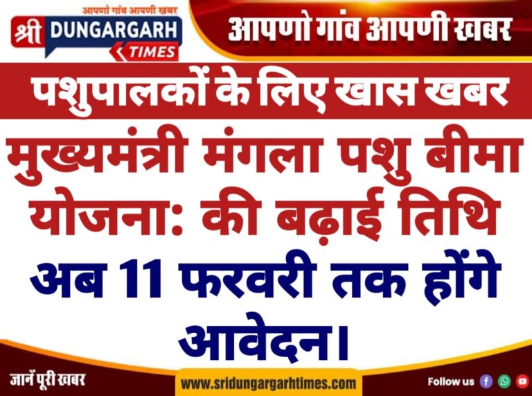 WhatsApp Image 2025-02-02 at 19.13.35