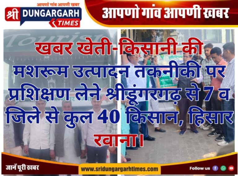WhatsApp Image 2025-02-16 at 16.17.16