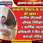 WhatsApp Image 2025-04-01 at 11.58.33