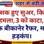 WhatsApp Image 2025-04-16 at 21.21.34