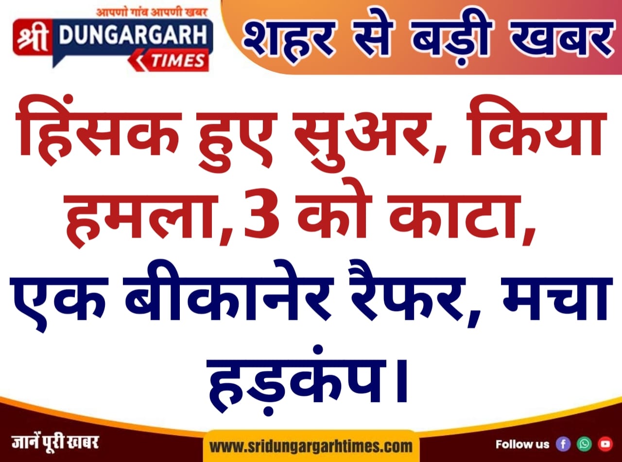 WhatsApp Image 2025-04-16 at 21.21.34