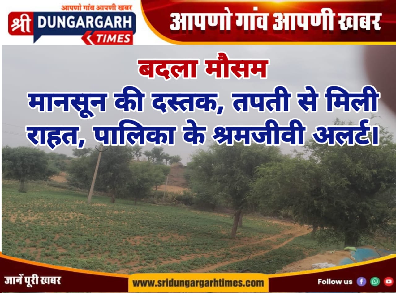 WhatsApp Image 2025-06-15 at 12.17.43