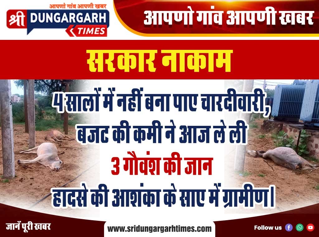 WhatsApp Image 2025-07-31 at 11.49.11