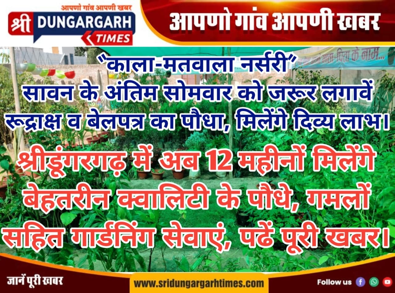 WhatsApp Image 2025-08-03 at 12.31.22