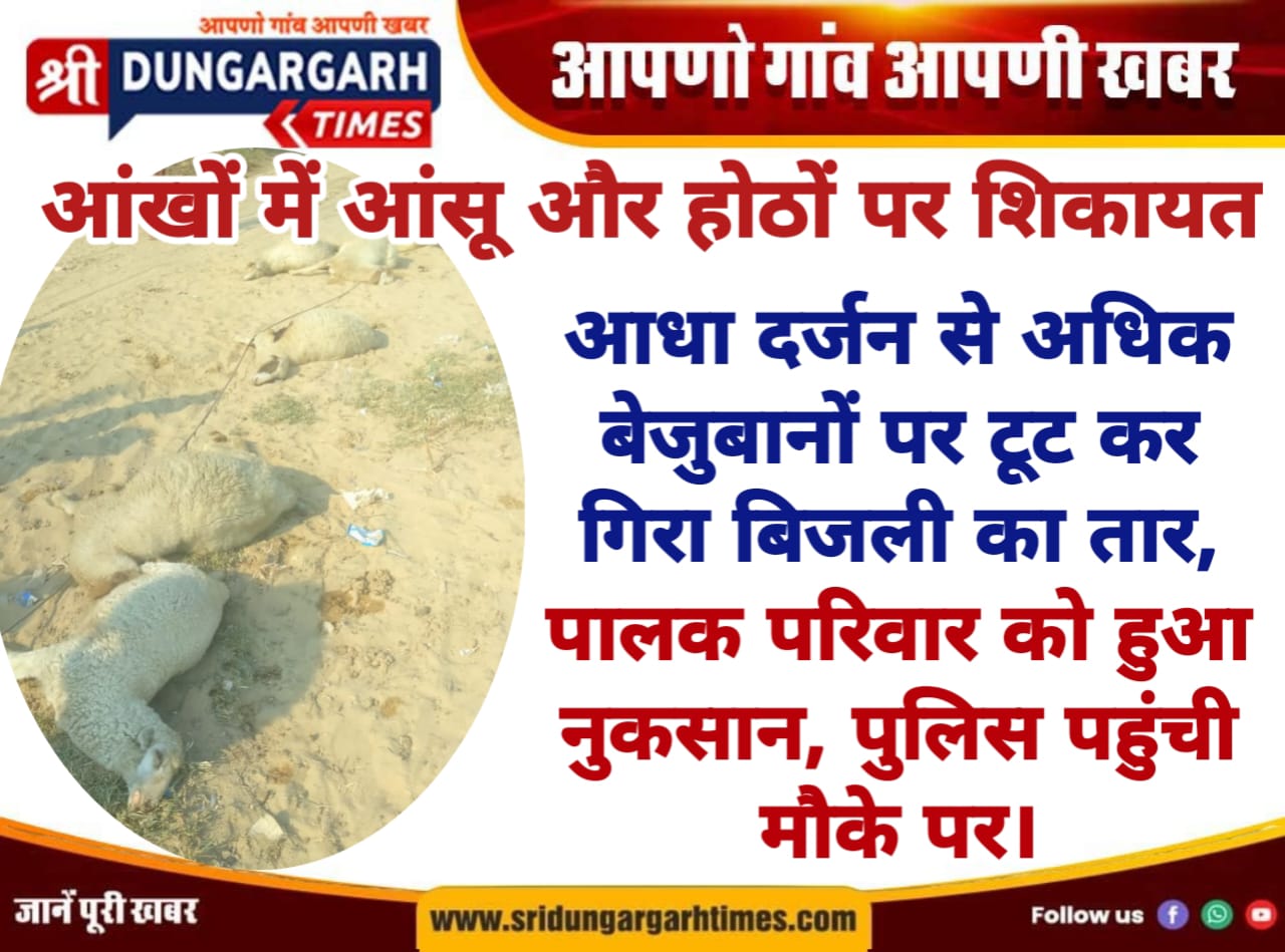 WhatsApp Image 2025-08-18 at 09.25.30