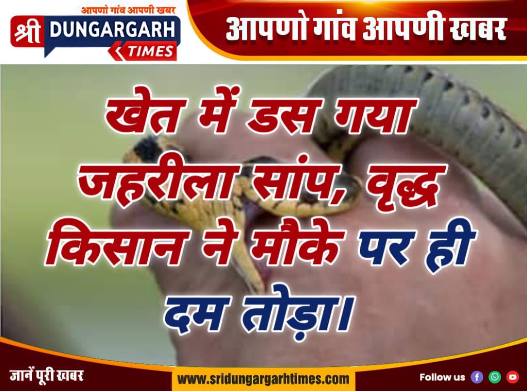 WhatsApp Image 2025-08-22 at 09.26.43