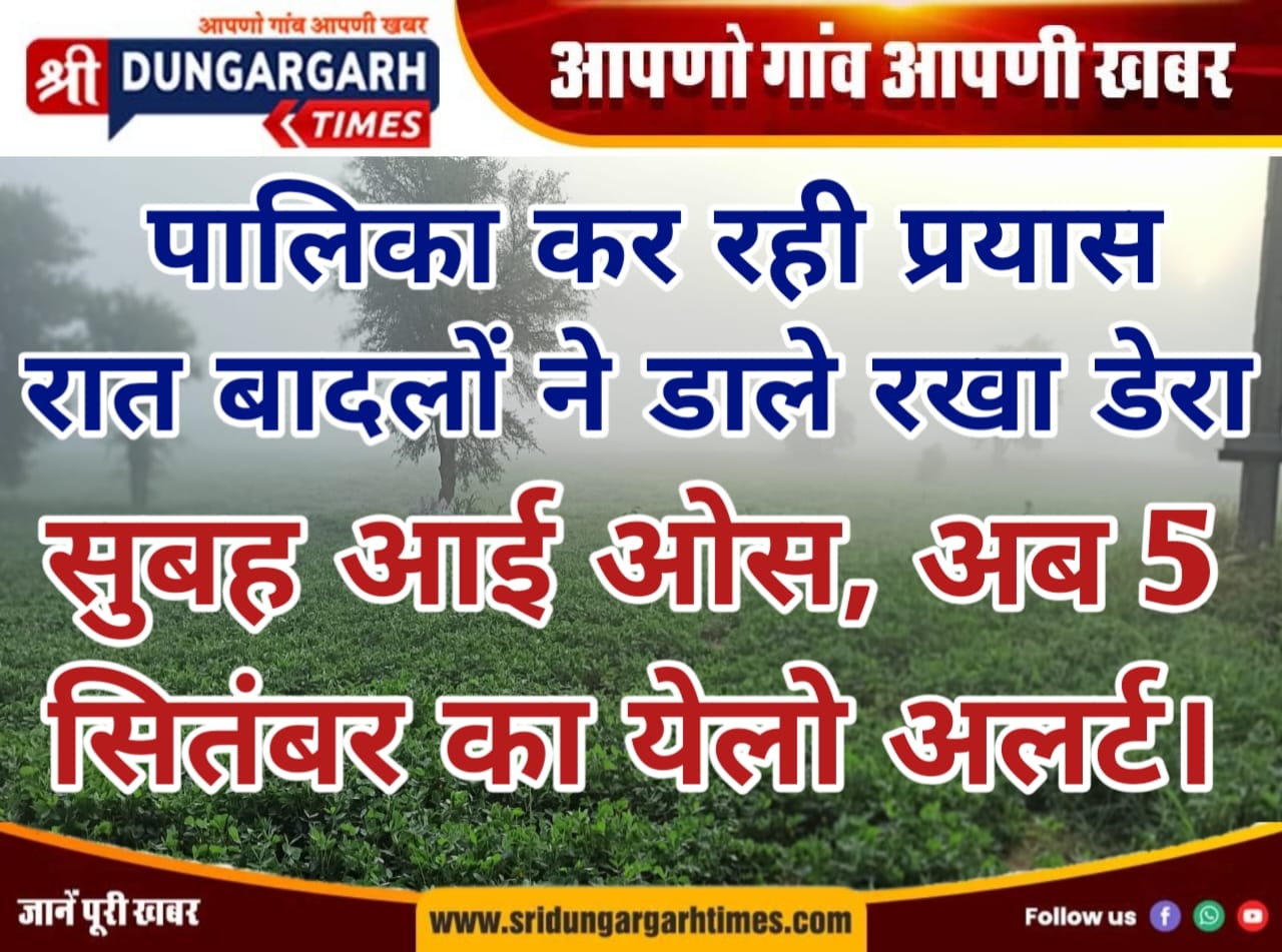 WhatsApp Image 2025-09-02 at 08.54.56