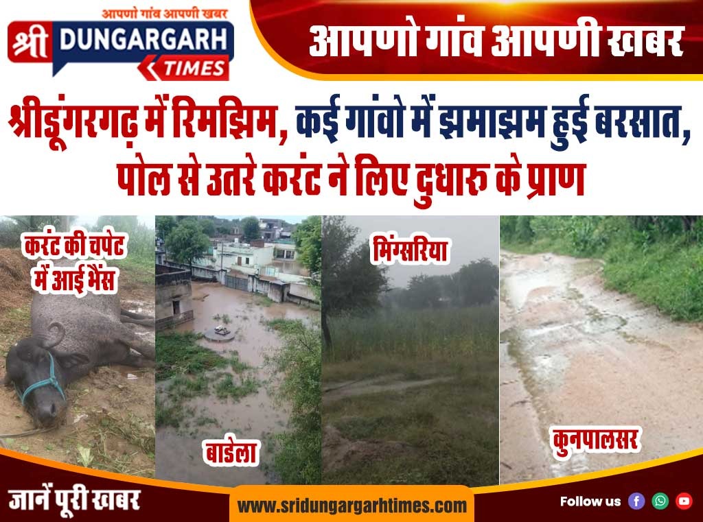 WhatsApp Image 2025-09-04 at 18.13.40