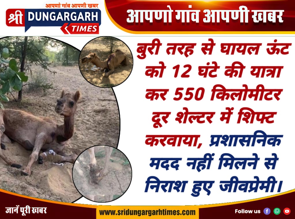 WhatsApp Image 2025-09-21 at 18.38.20