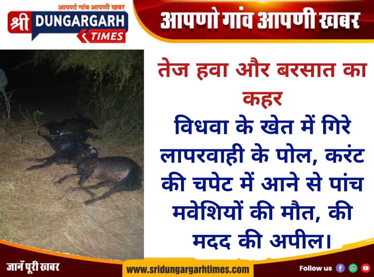WhatsApp Image 2025-10-03 at 20.38.15
