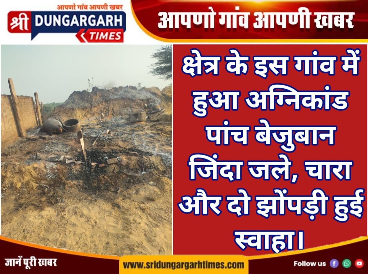 WhatsApp Image 2025-10-22 at 16.31.14