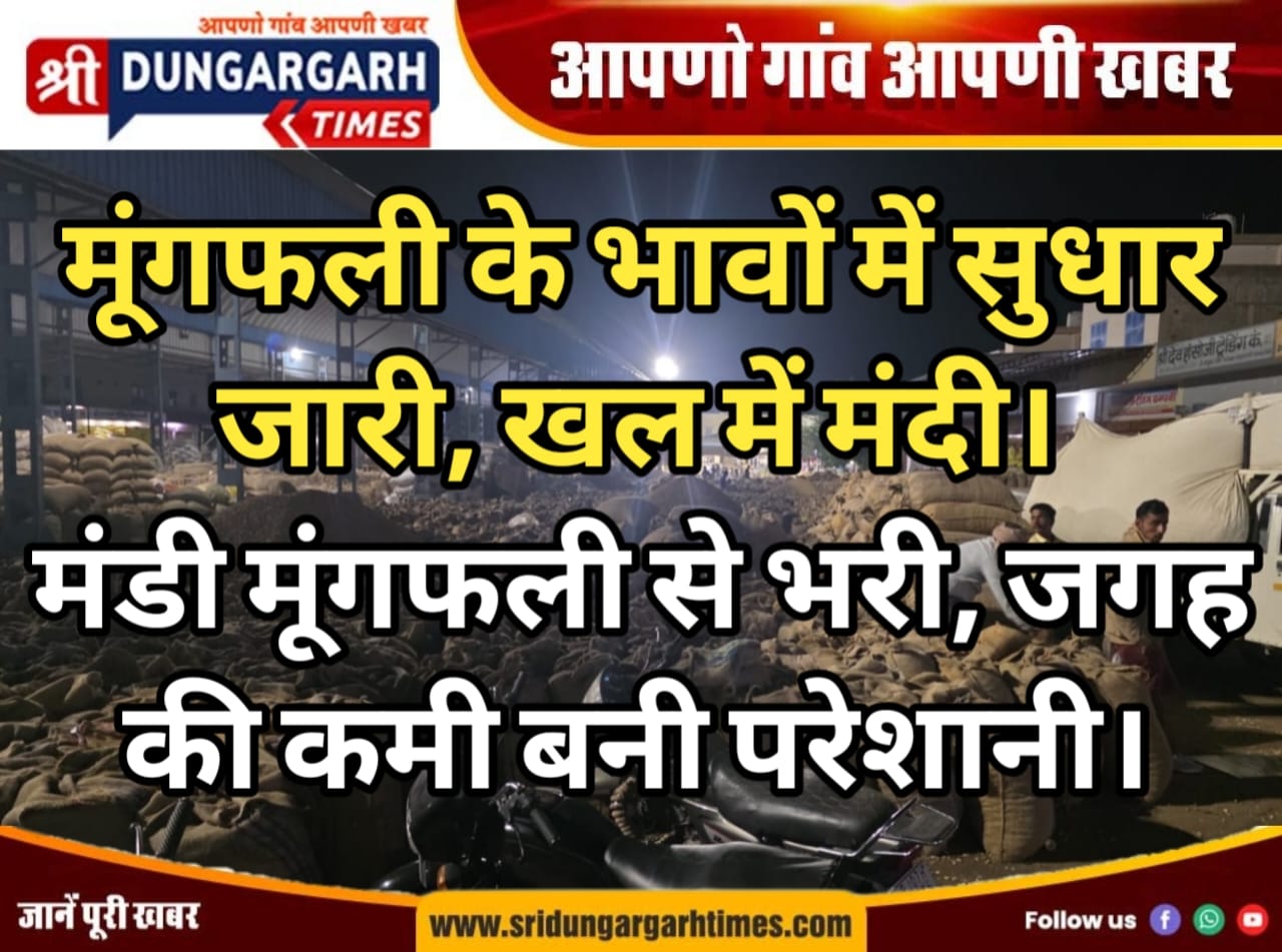 WhatsApp Image 2025-11-20 at 19.41.34