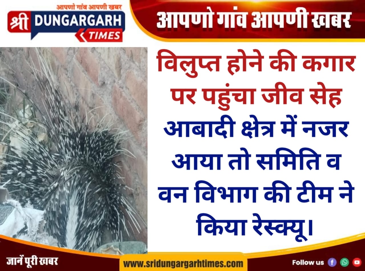 WhatsApp Image 2025-12-21 at 18.35.20