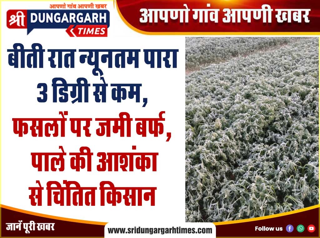 WhatsApp Image 2026-01-12 at 09.52.56