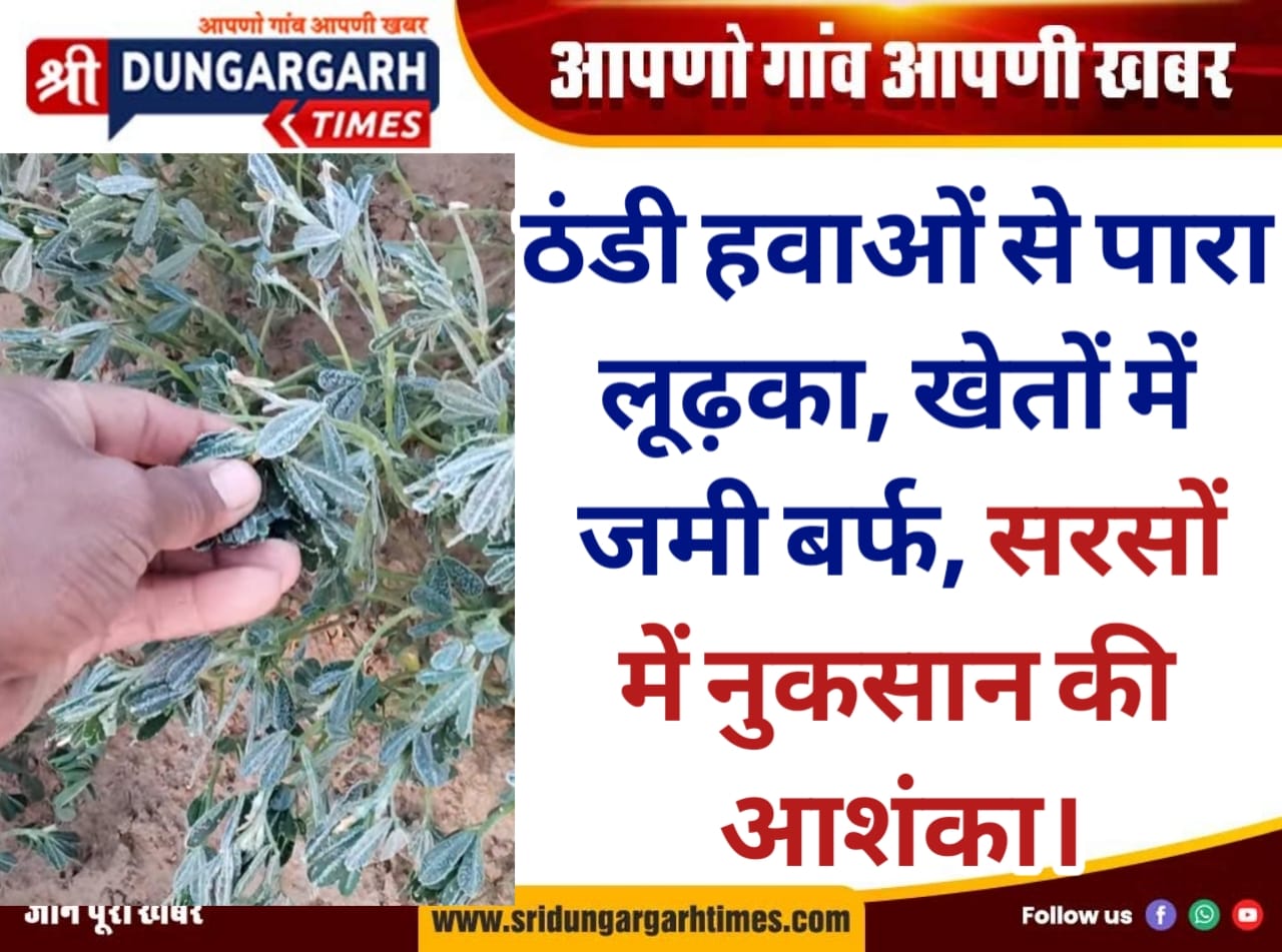 WhatsApp Image 2026-01-25 at 11.14.48