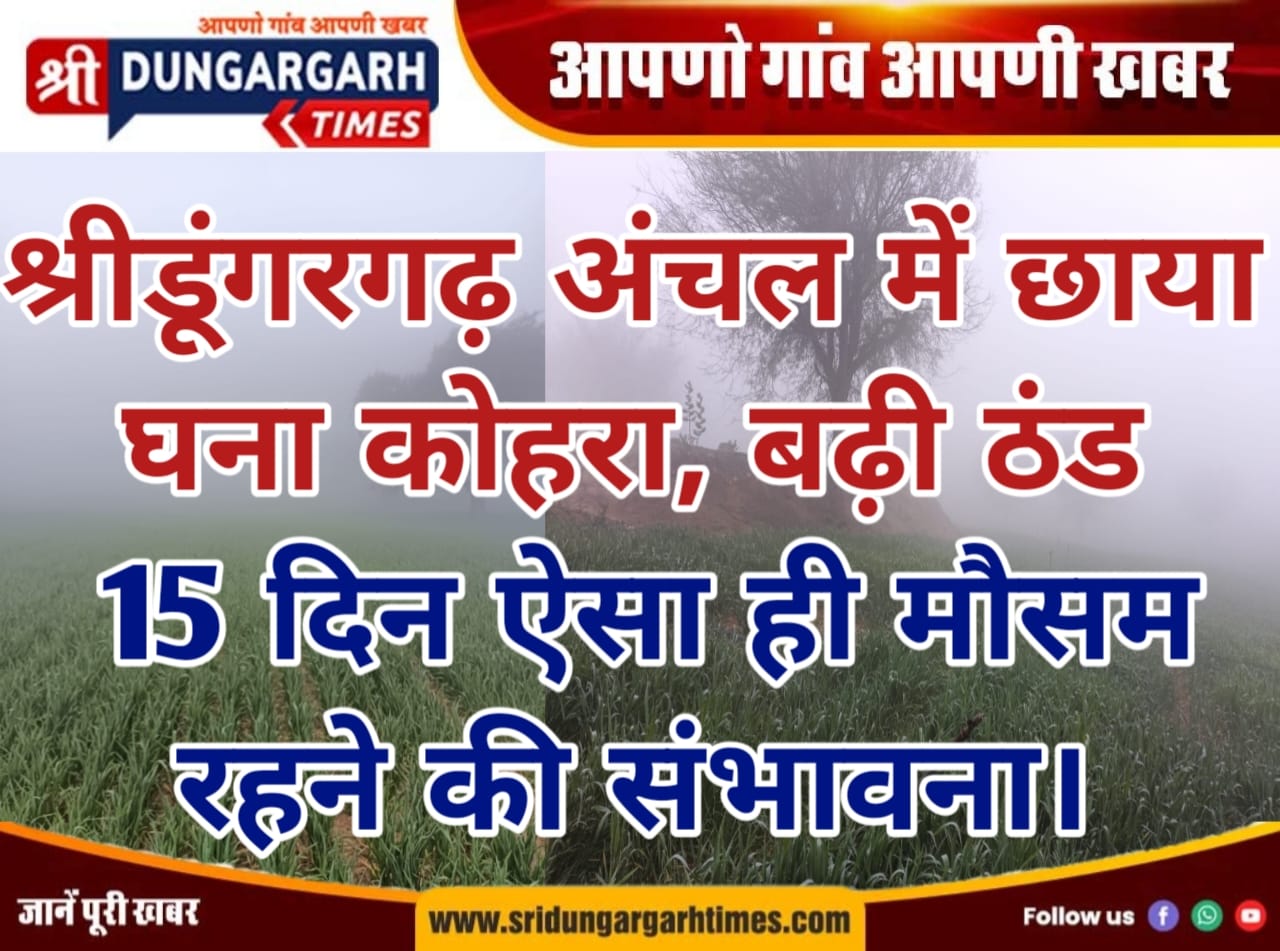 WhatsApp Image 2026-02-01 at 10.29.14