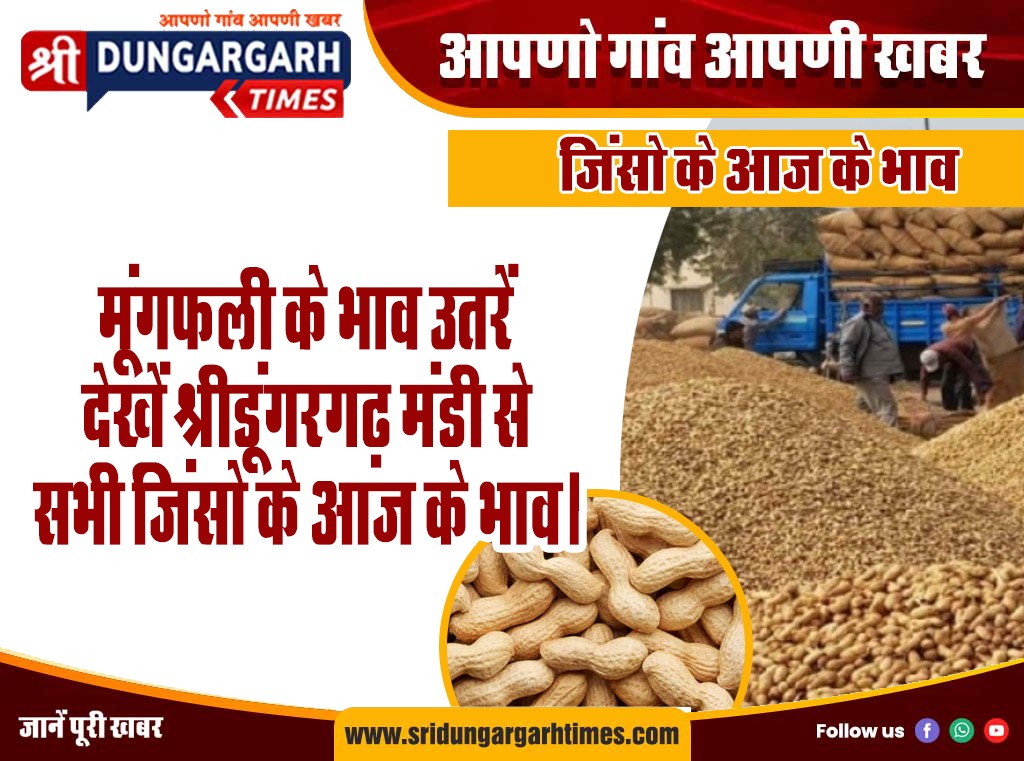 WhatsApp Image 2026-02-17 at 16.31.31