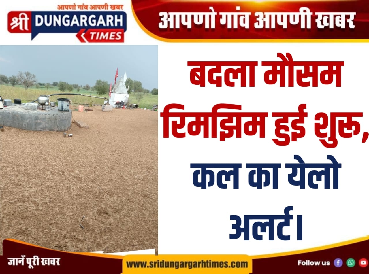 WhatsApp Image 2026-02-17 at 18.16.46