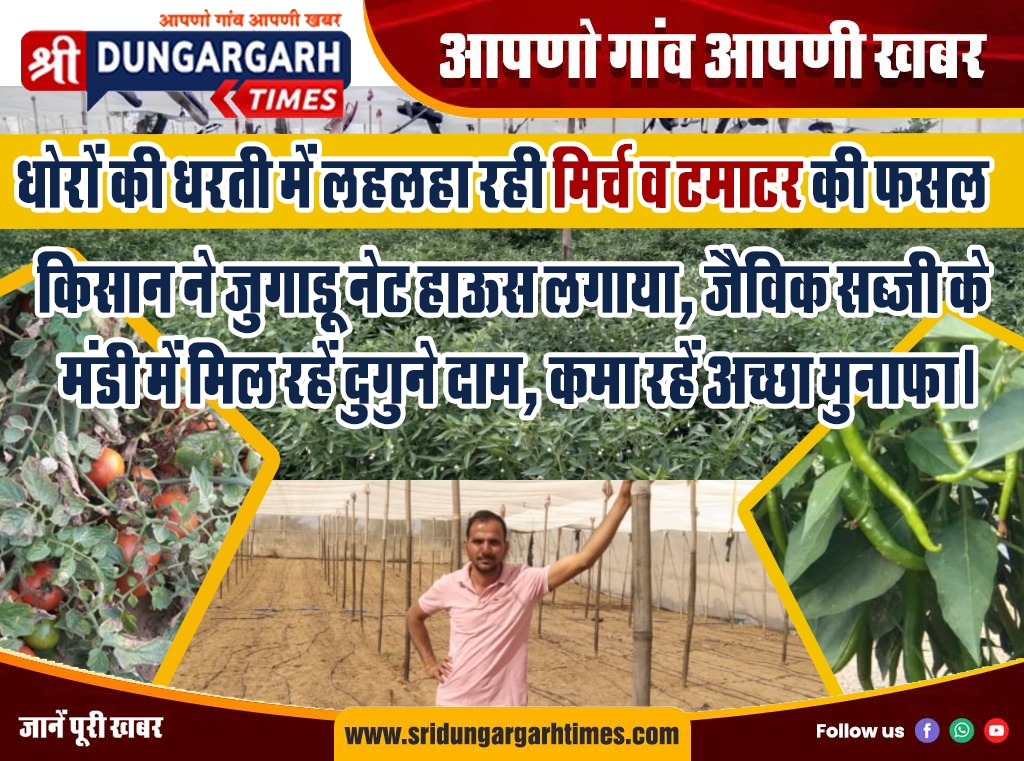 WhatsApp Image 2026-02-18 at 18.22.05