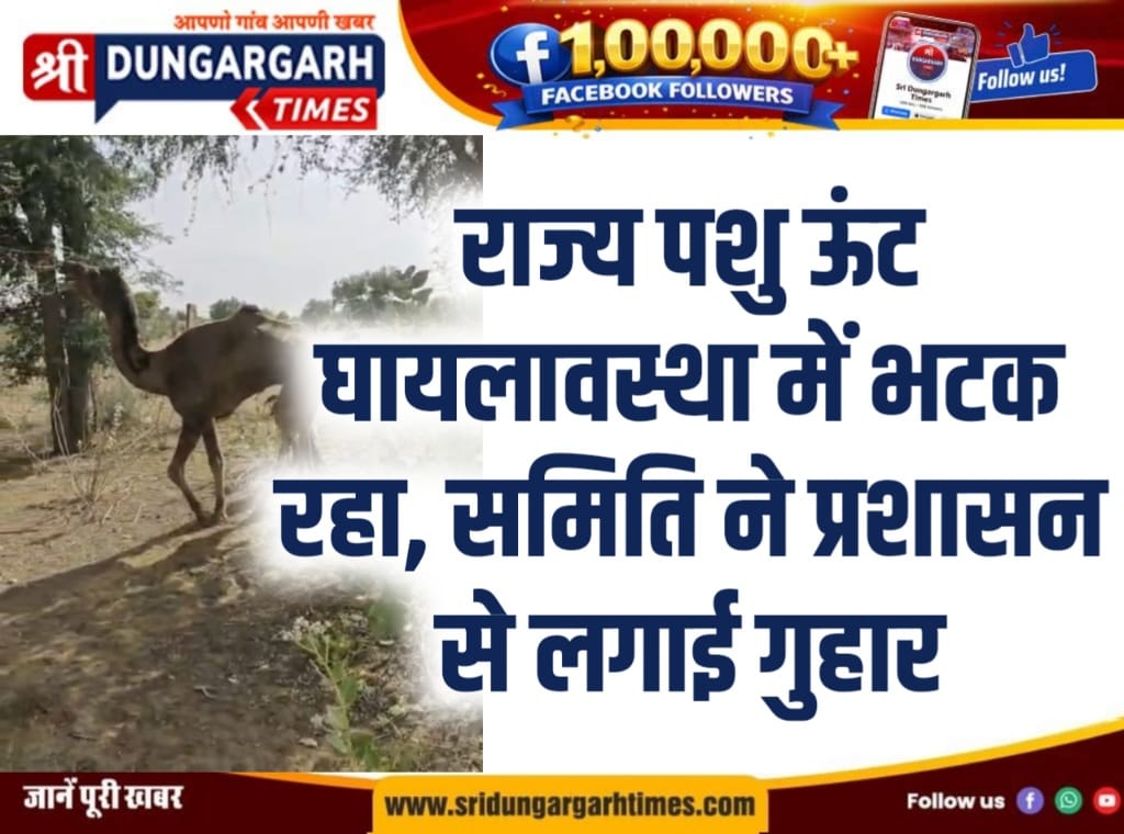 WhatsApp Image 2026-04-29 at 19.42.21