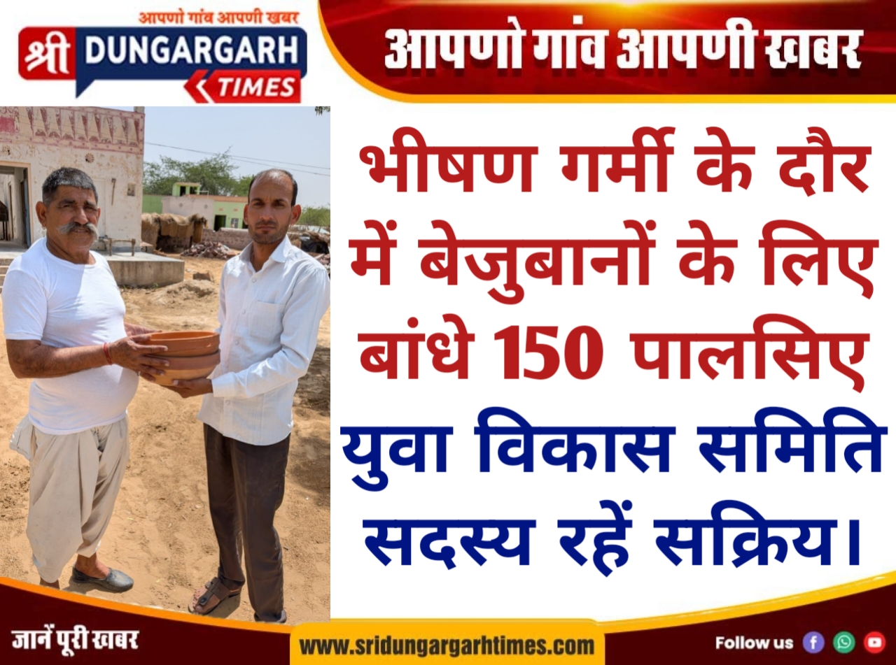 WhatsApp Image 2026-05-03 at 13.04.34