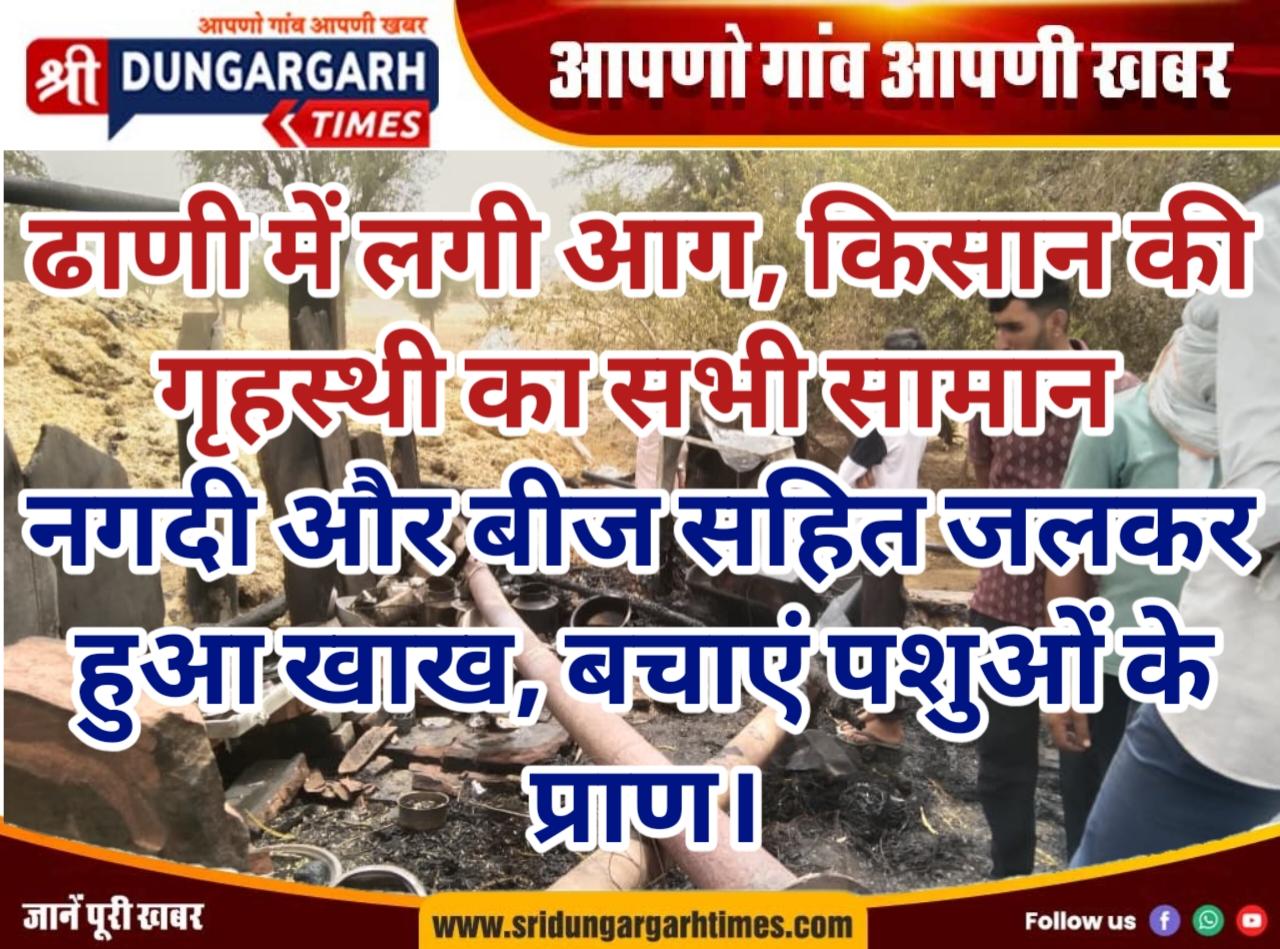 WhatsApp Image 2026-05-24 at 18.47.31